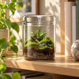 Glass Moss Terrarium - image 6