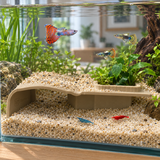 Axolotl Corner Cave - image 6