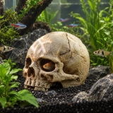 Resin Skull Hideout - image 6