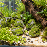 Moss Stone Ornaments - image 6