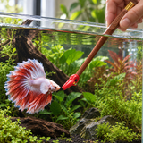 Betta Training Wand - image 6