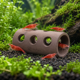 Ceramic Shrimp Shelter - image 6