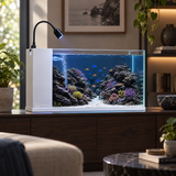 Modern Reef Aquarium - image 6