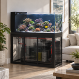 Rimless Marine Aquarium - image 6