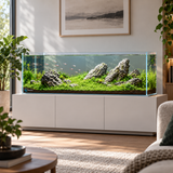 Rimless Glass Aquarium - image 6