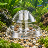 Snail Trap - image 6