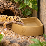 Corner Water Dish - image 6