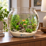 Round Fish Bowl - image 6