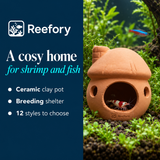 Reefory Ceramic Shrimp Pot - 12 styles to choose