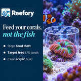 Coral Feeding Shield - image 4
